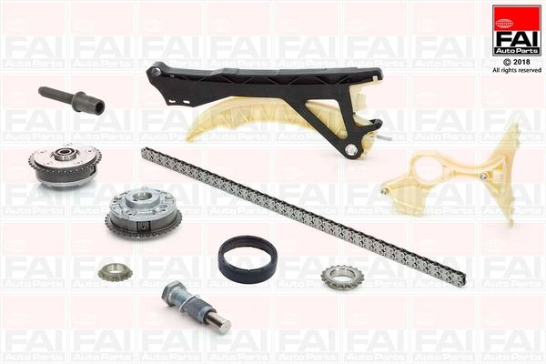 FAI AUTOPARTS pavaros grandinės komplektas TCK20VVT